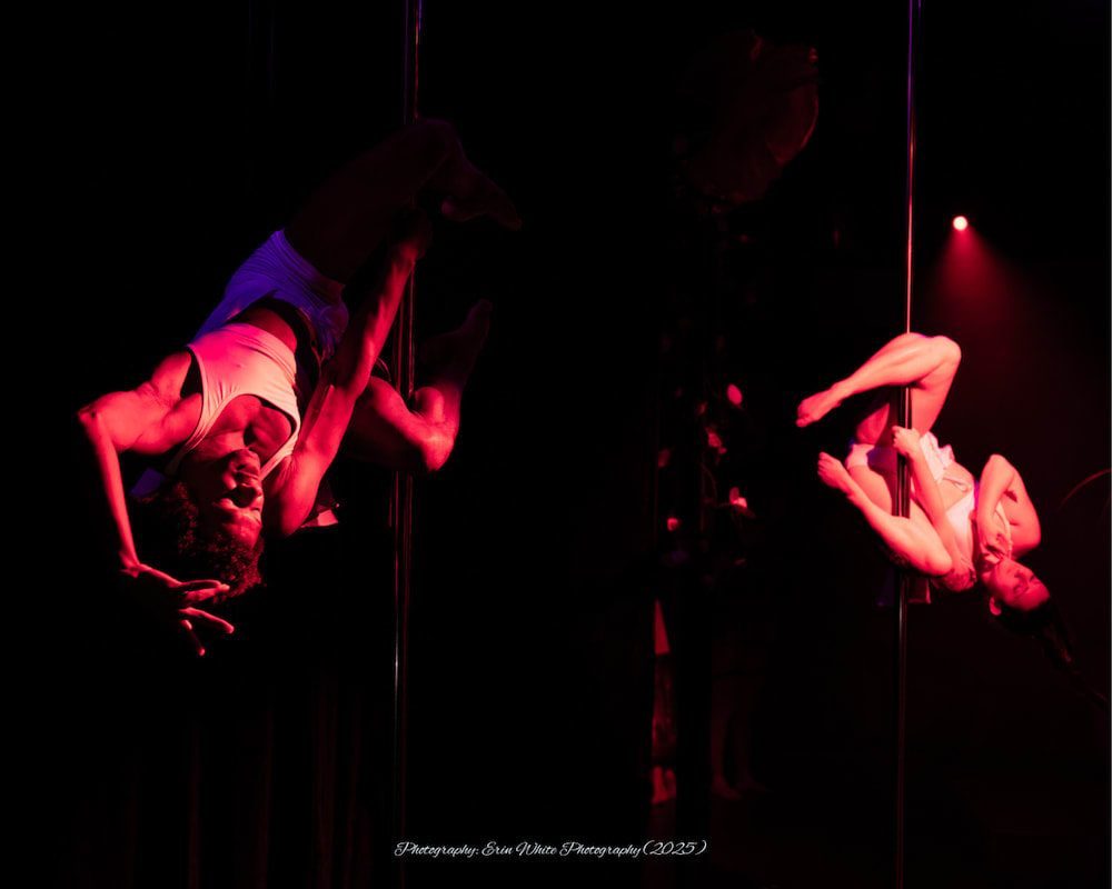 Youth Aerial Classes near Frederick