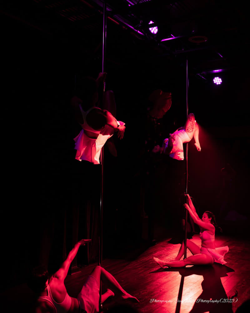 Youth Aerial Classes near Frederick