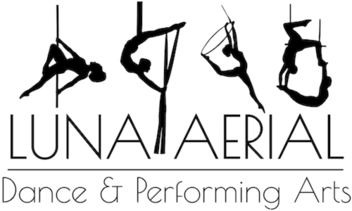 Youth Aerial Classes near Frederick