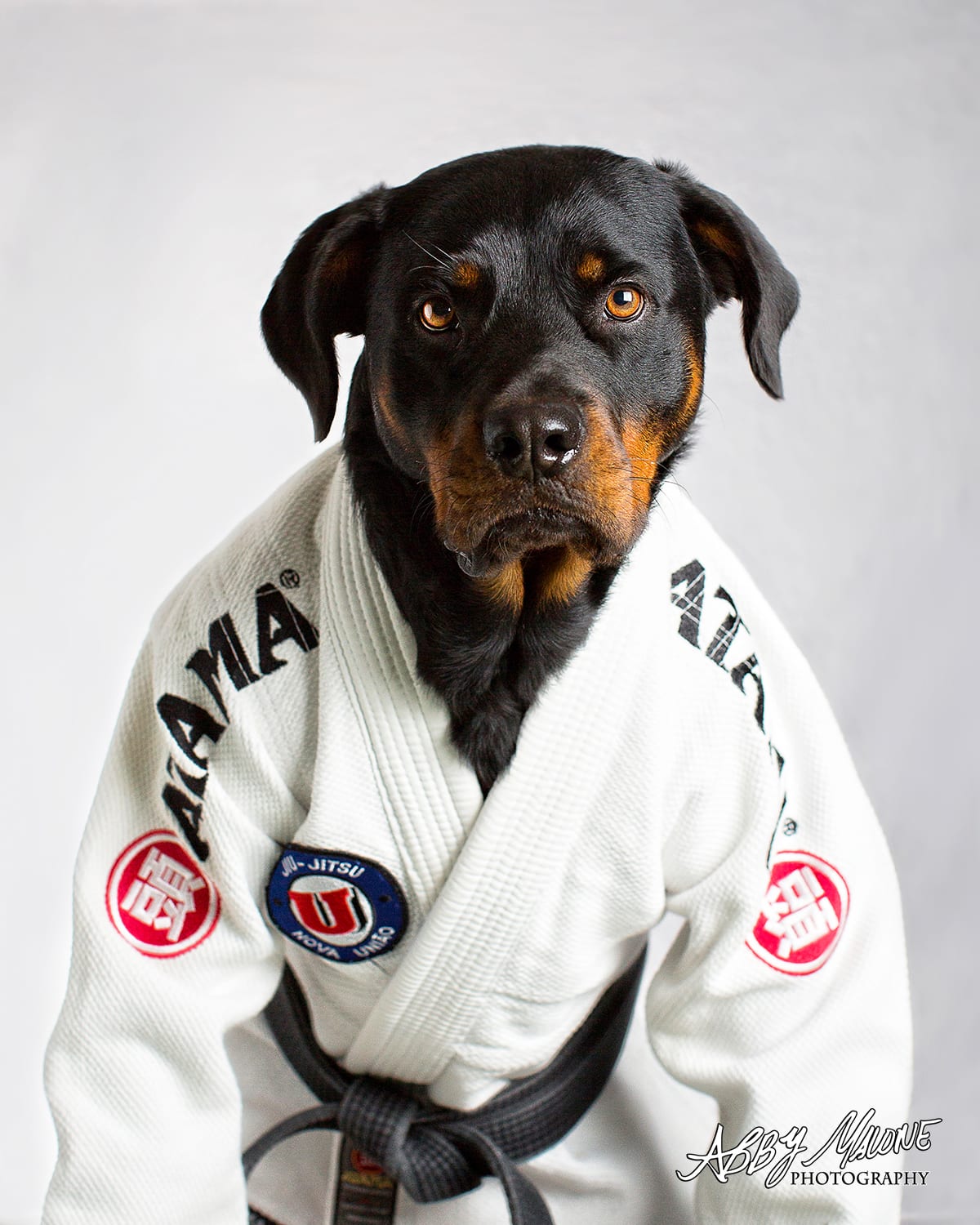 Benton Kids Martial Arts