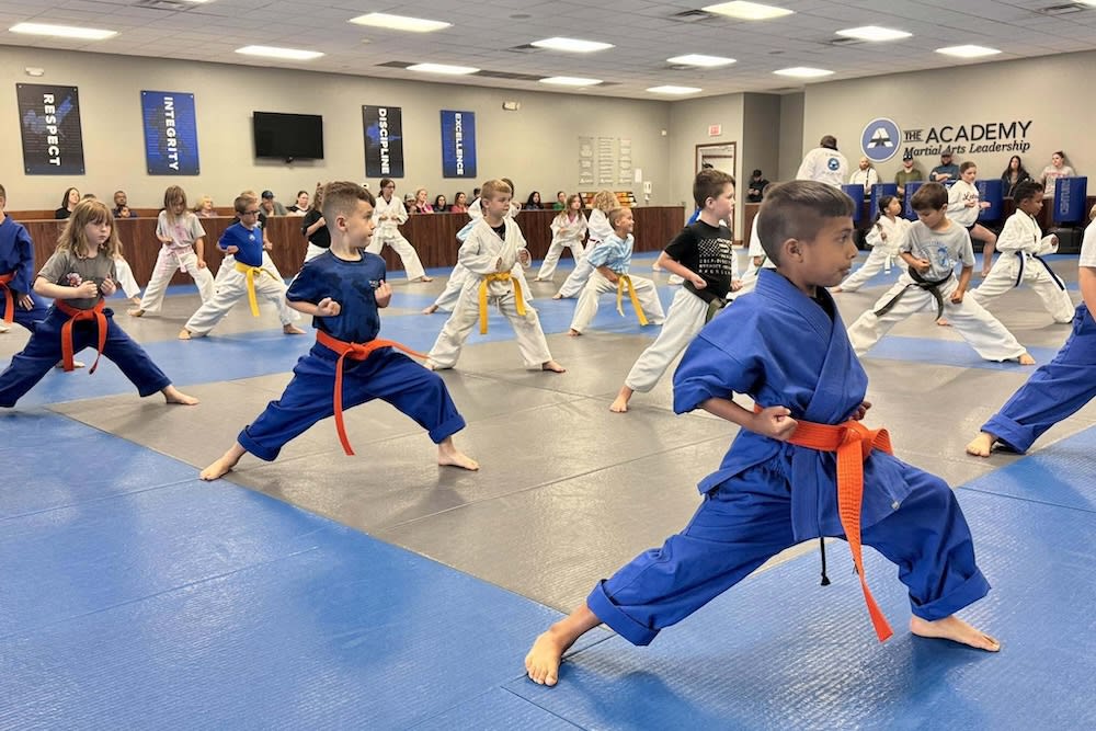 Kids Martial Arts near Appleton