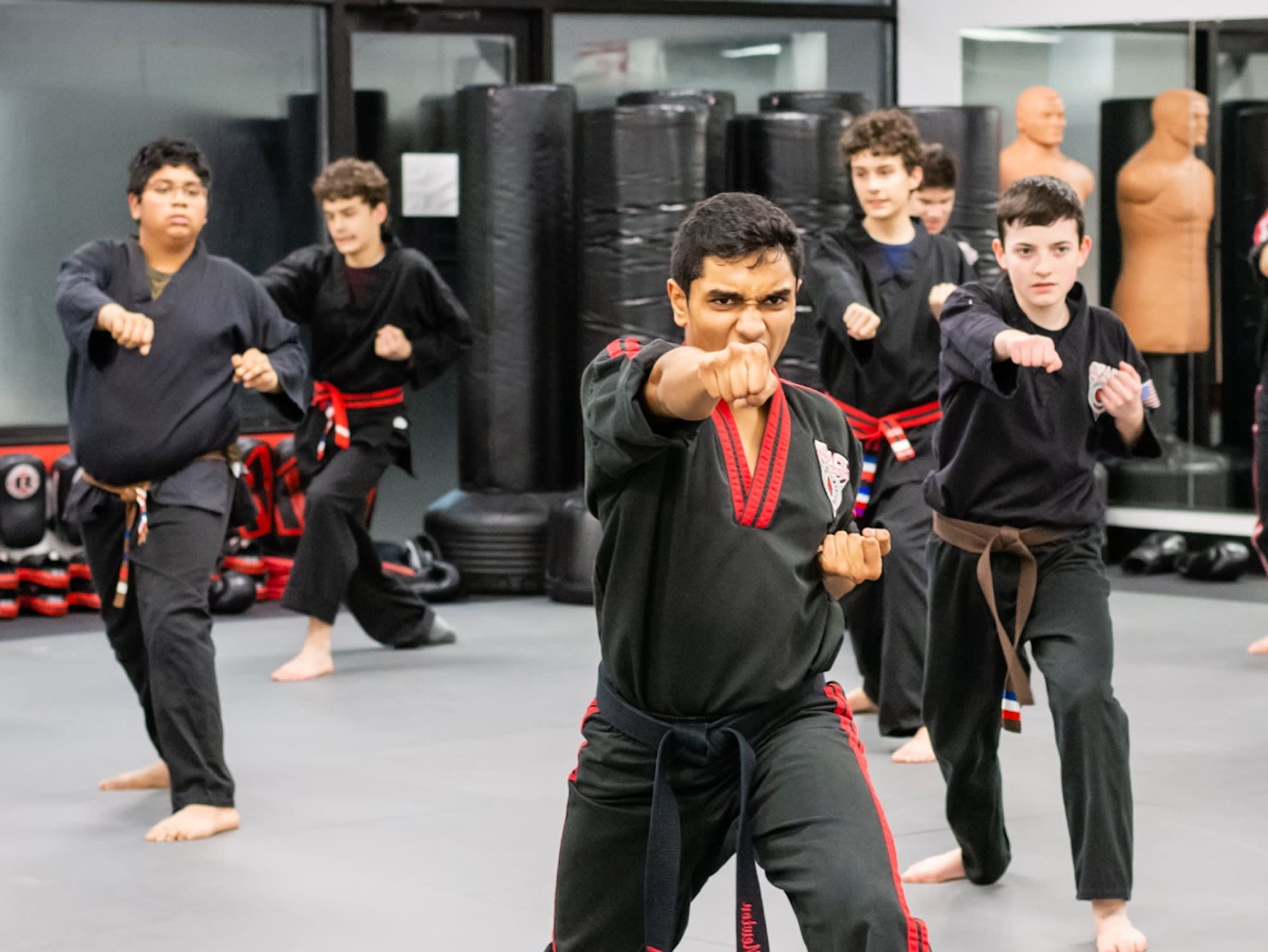 Kids Martial Art and Self Defense near Manlius Dewitt