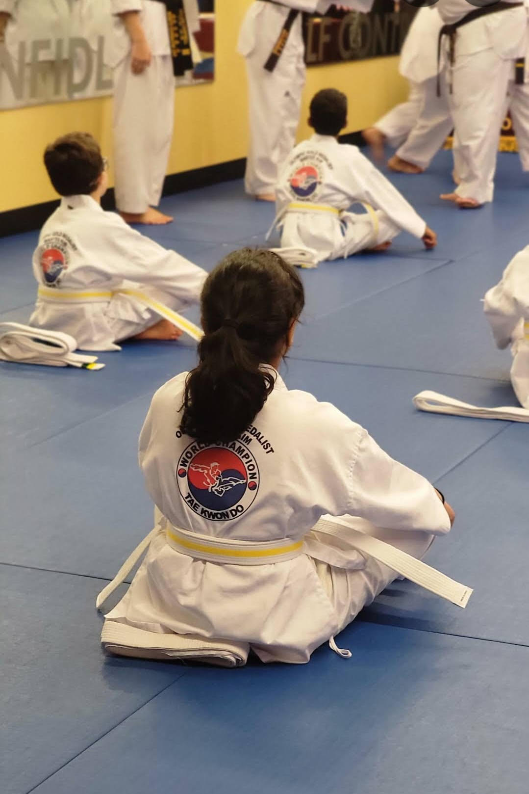 Taekwondo near West Union Road