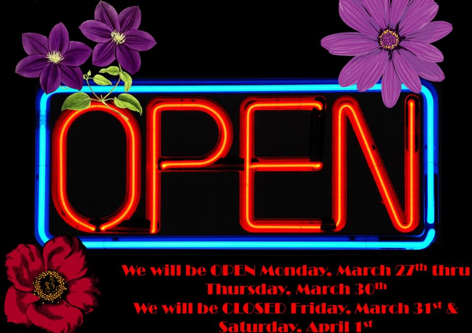 Our UPDATED Spring Break Schedule