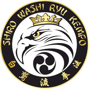 Kids Karate near Bethesda