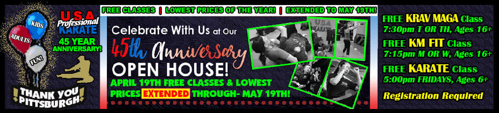 45th Anniversary O. H. Extended: Free Krav Maga-FIT Class in Pittsburgh