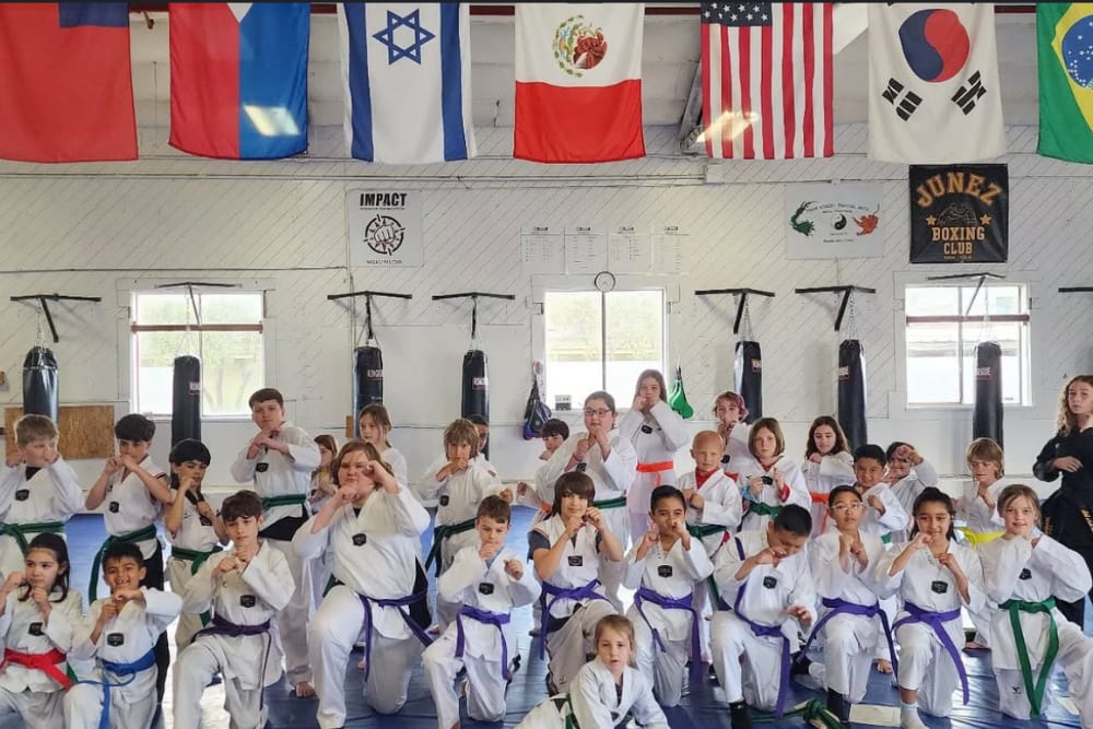 Kids Martial Arts near Napa