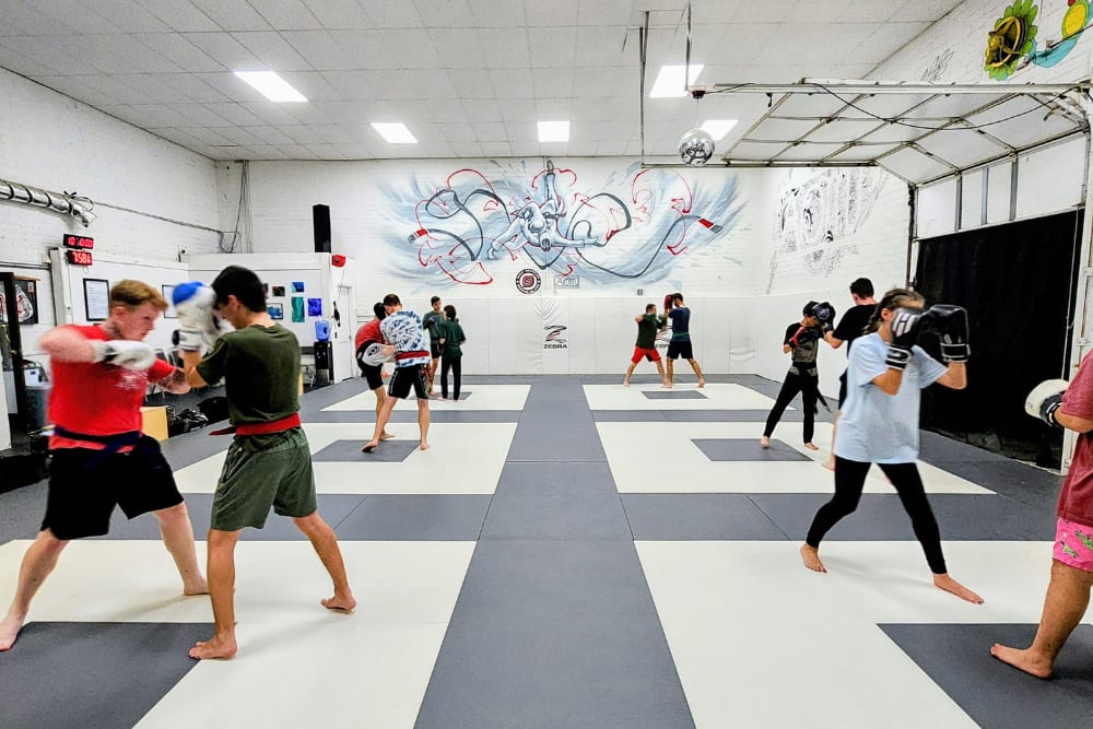 Adult Jiu Jitsu near Indian Trail