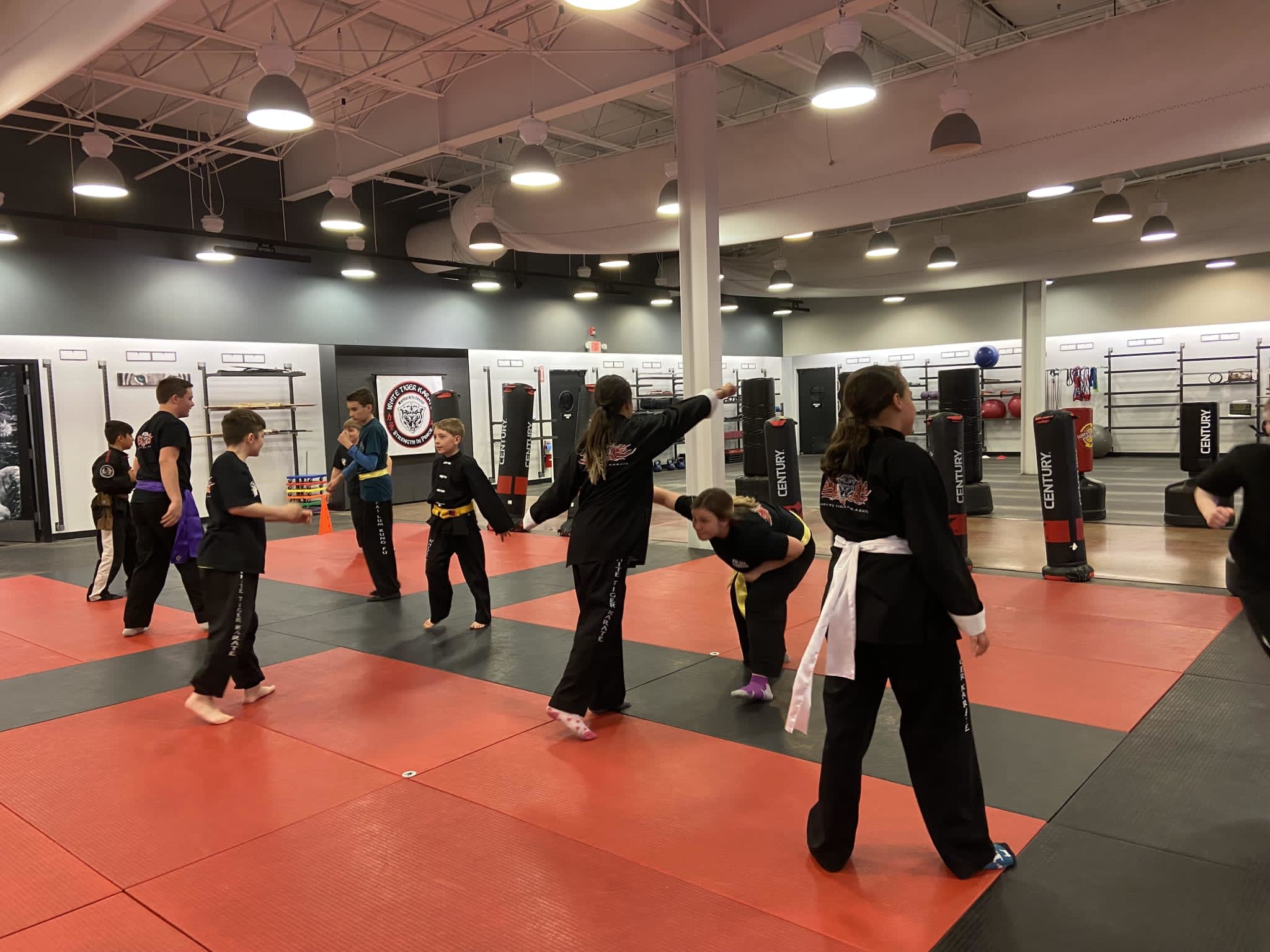 Kids Martial Arts Sanbornton