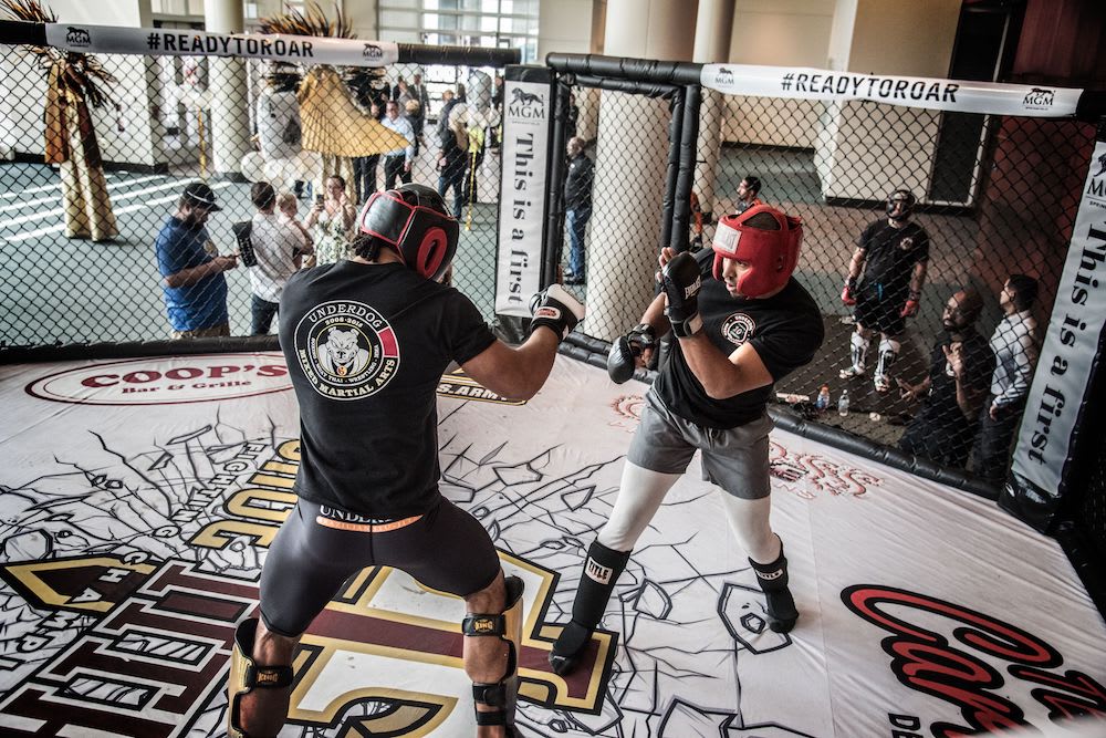 Mixed Martial Arts in West Hartford