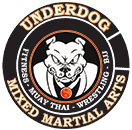 Kids Martial Arts near West Hartford 