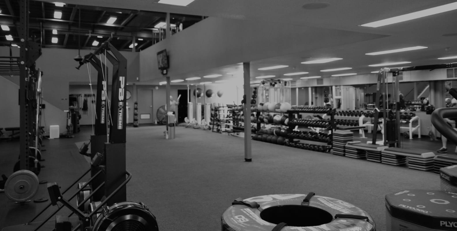 Helping busy professionals and the aging population create a healthy lifestyle through personalized training and nutrition