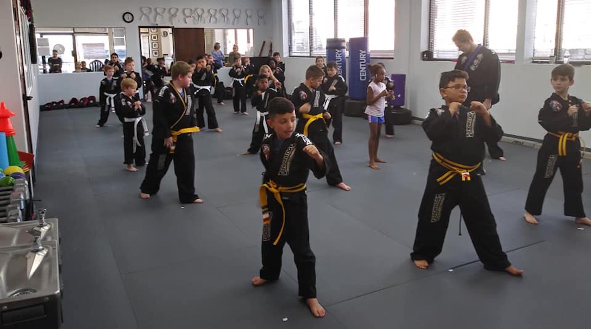 Kids Martial Arts at Professional Black Belt Academy in Prosper