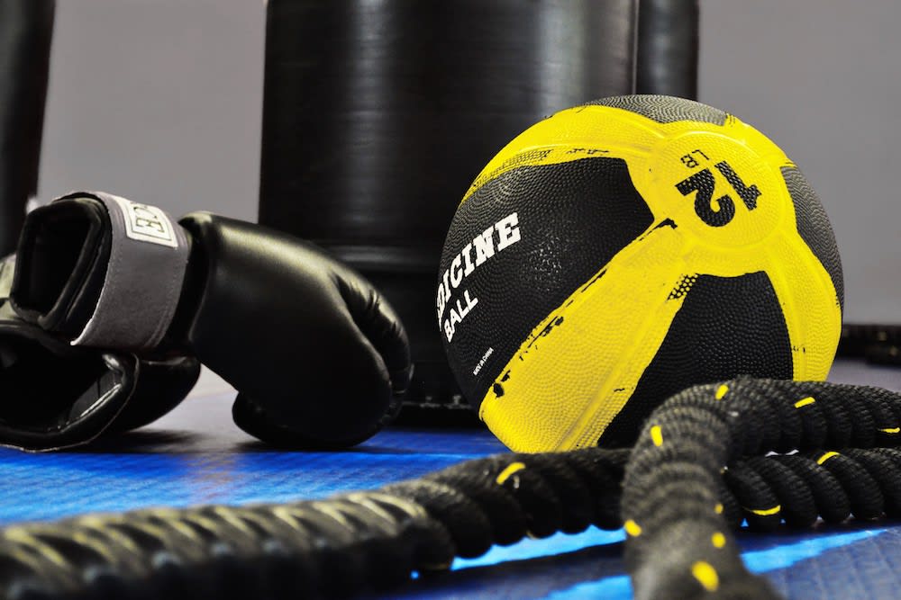 Mixed Martial Arts in Westville