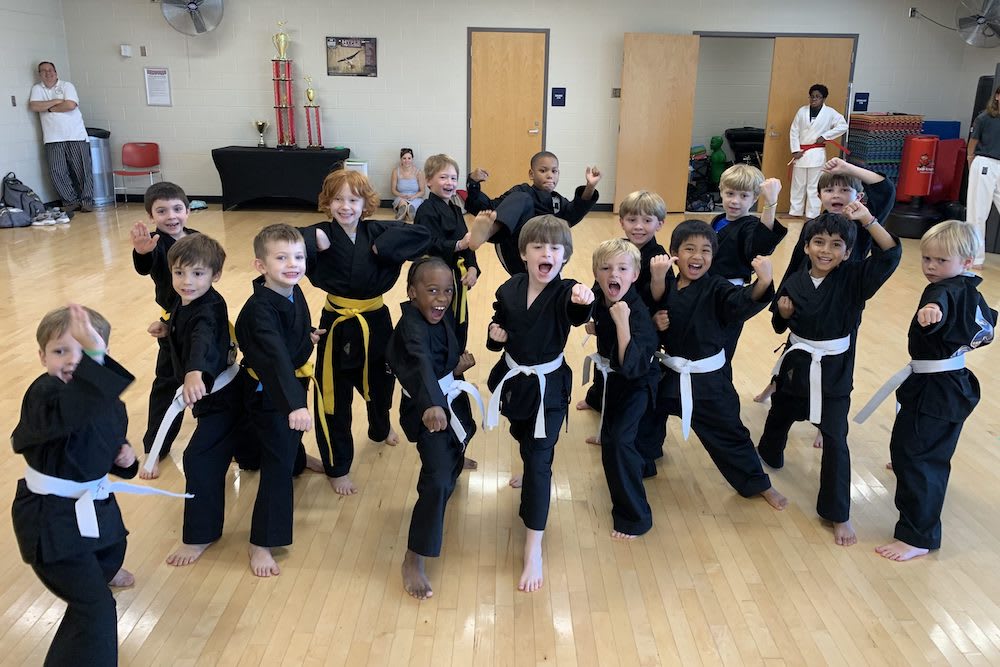 Kids Martial Arts near Homewood