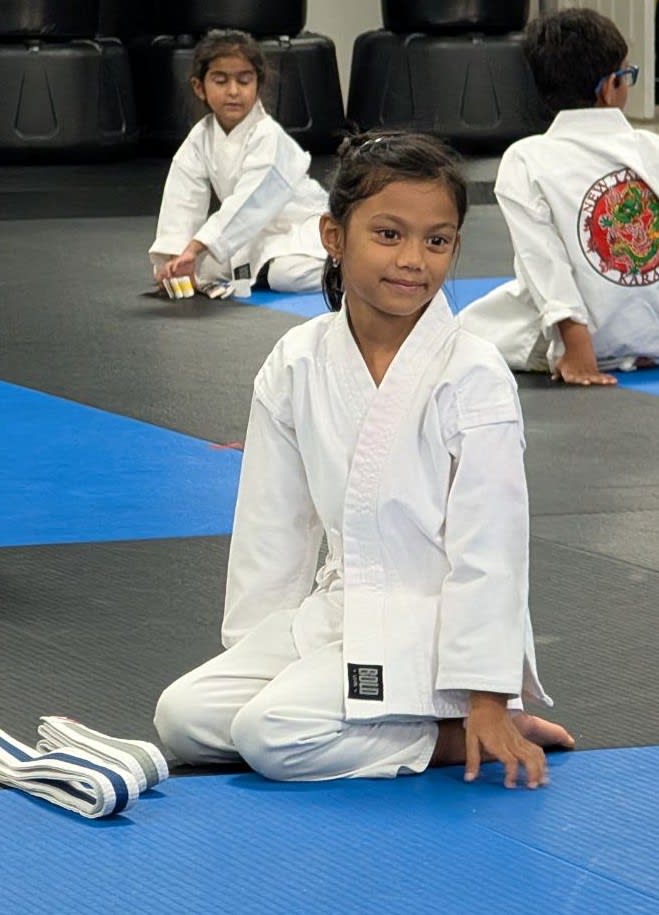 LIL'DRAGON CURRICULUM INFO