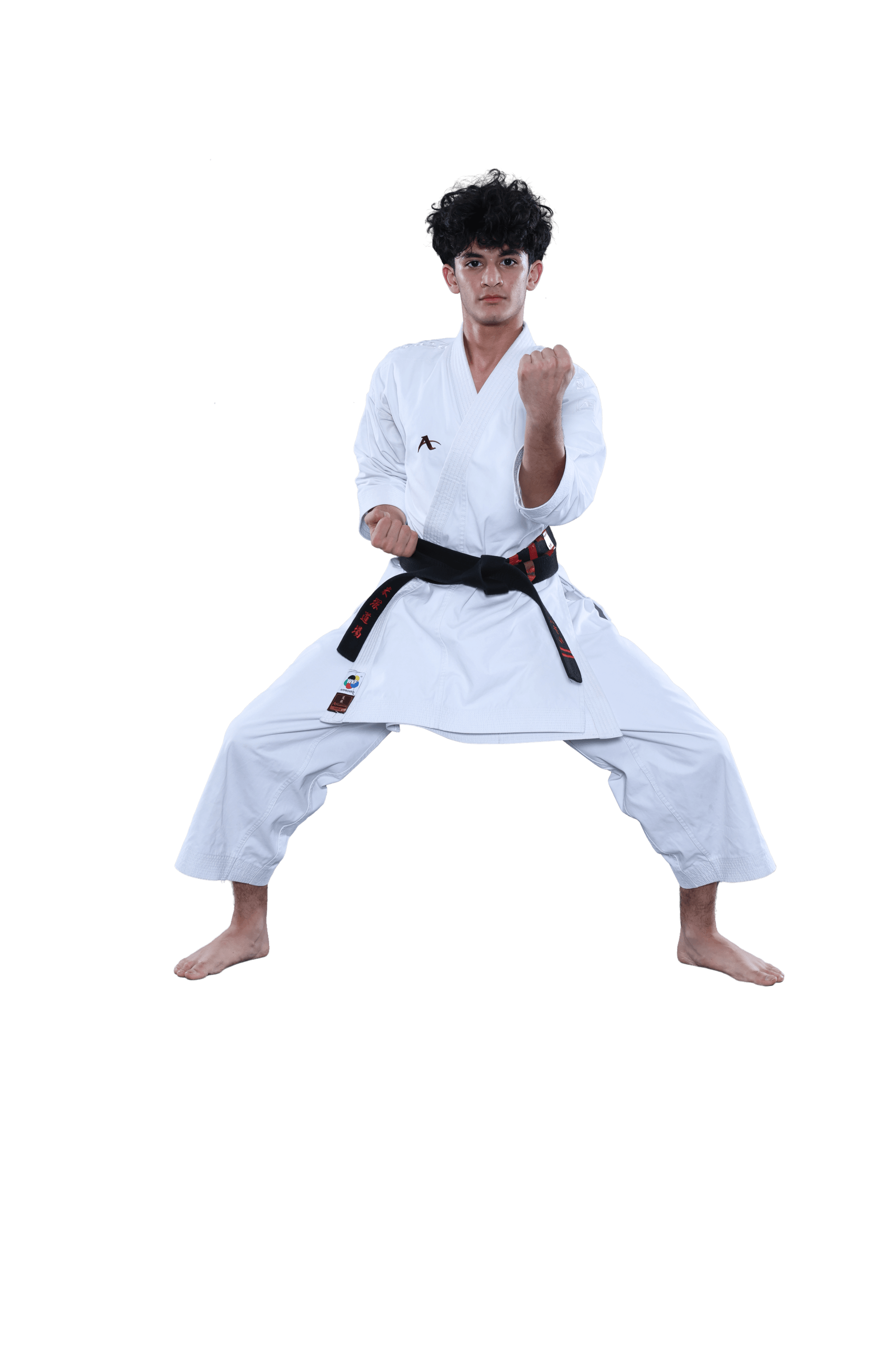Kids Martial Arts near Tampa