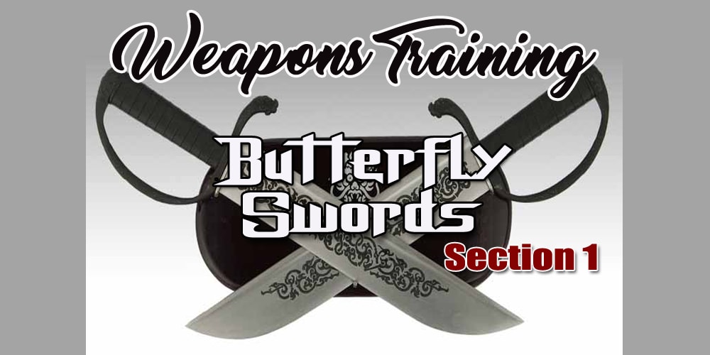 Weapons: Butterfly Swords: Combination 1