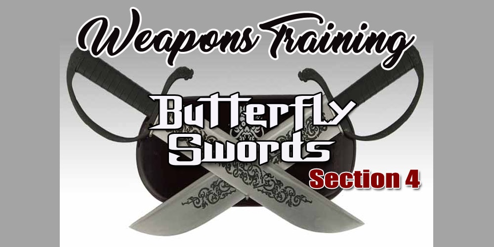 Weapons: Butterfly Swords: Combination 4