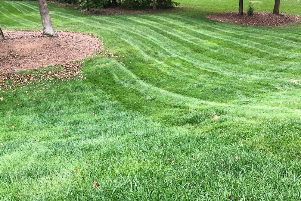 Lawn Care near Greensboro