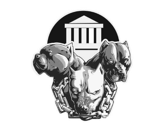 Kids and Adult Jiu Jitsu near Land O' Lakes and Lutz FL