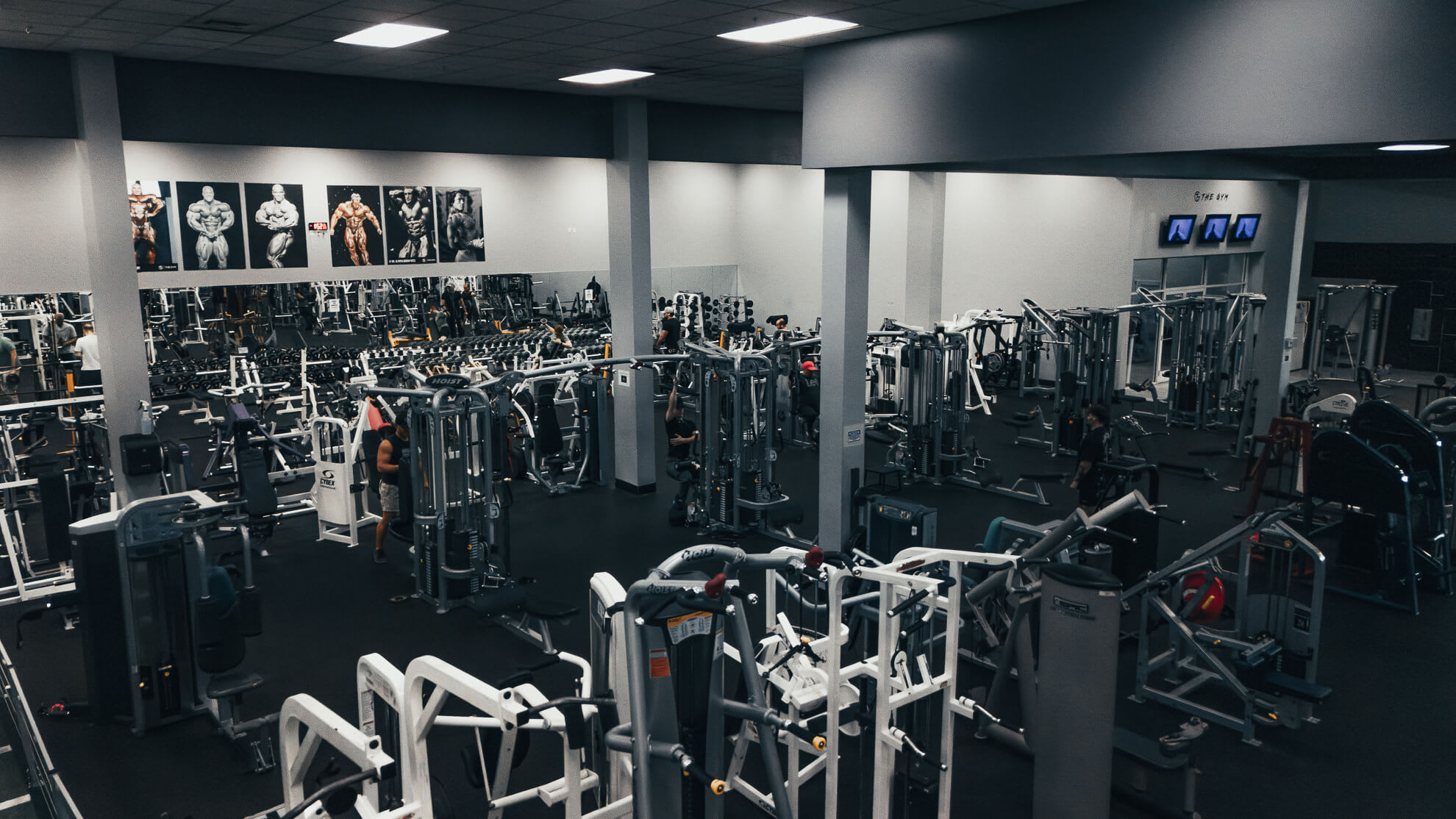 Personal Training near Mesa