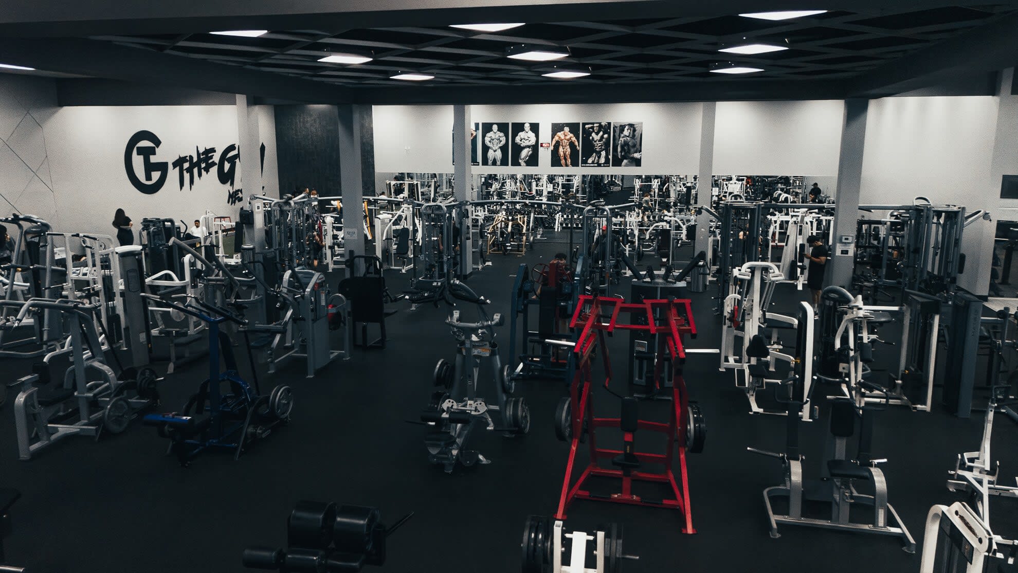 Personal Training near Mesa