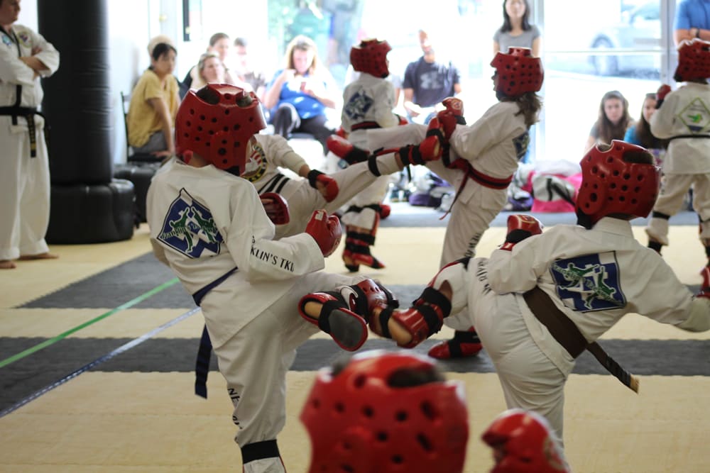 Taekwondo Training for All Ages