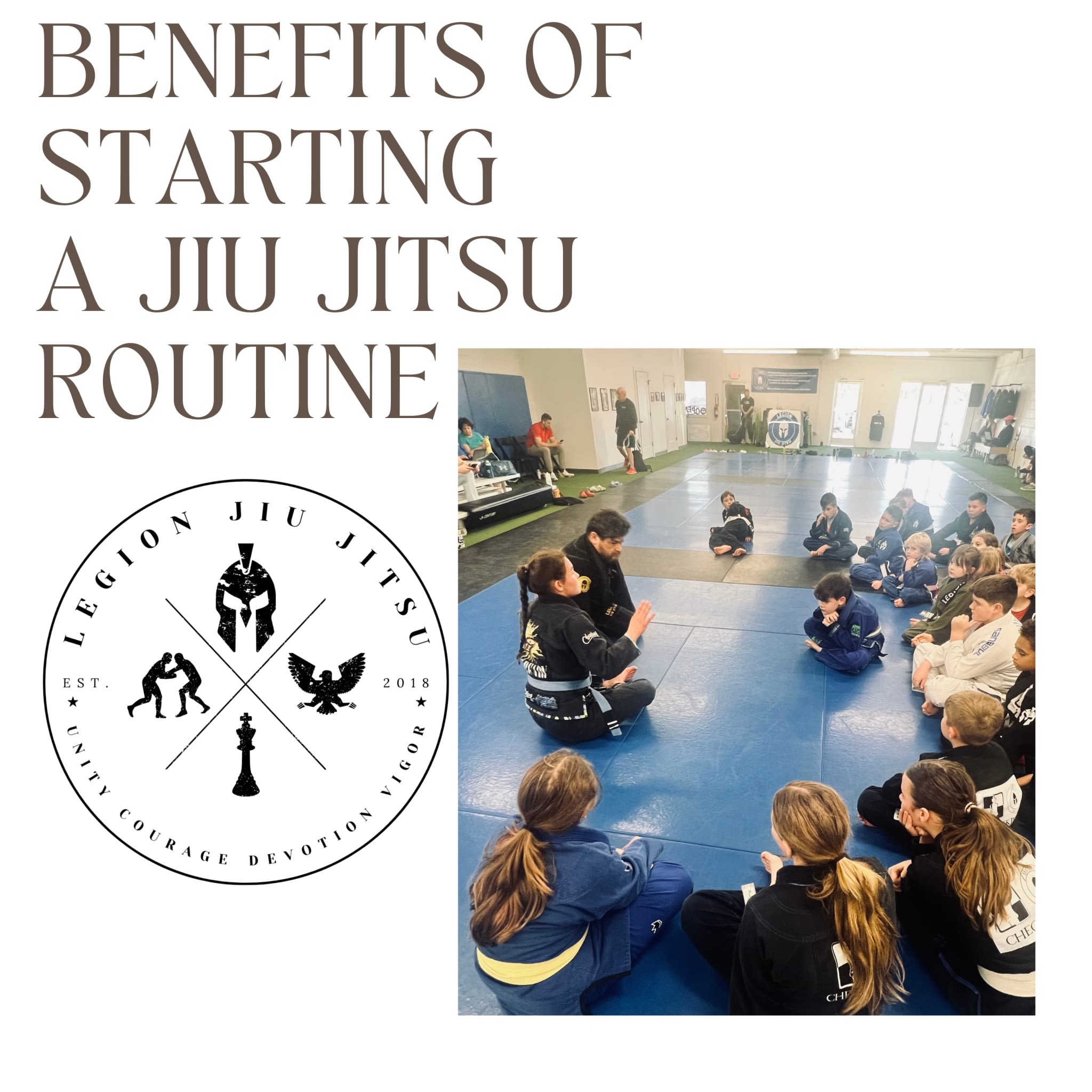 The Everyday Benefits of Starting a Jiu Jitsu Routine, By Anthony Pascarella, Brown Belt Jiu Jitsu, Legion Jiu Jitsu in Hendersonville, TN | Legion Jiu Jitsu