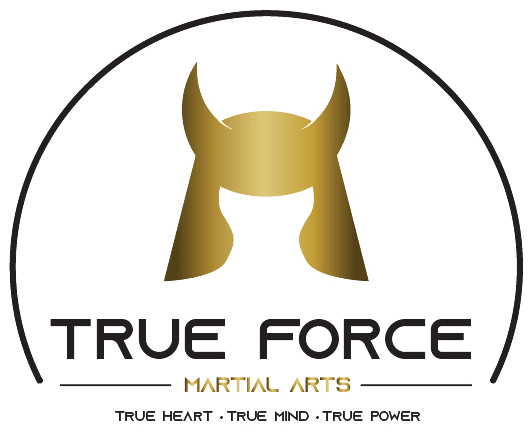 Taekwondo near Charleston