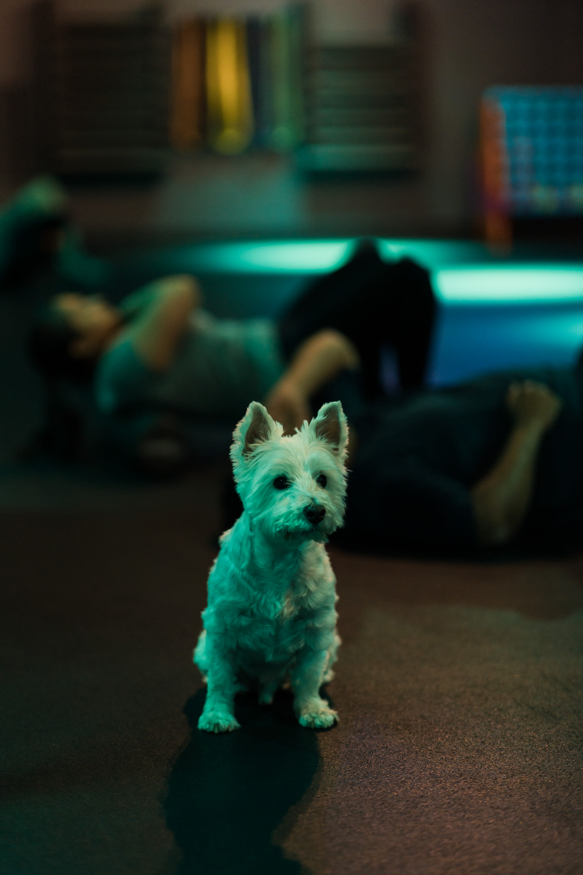 Personal Training near Allentown