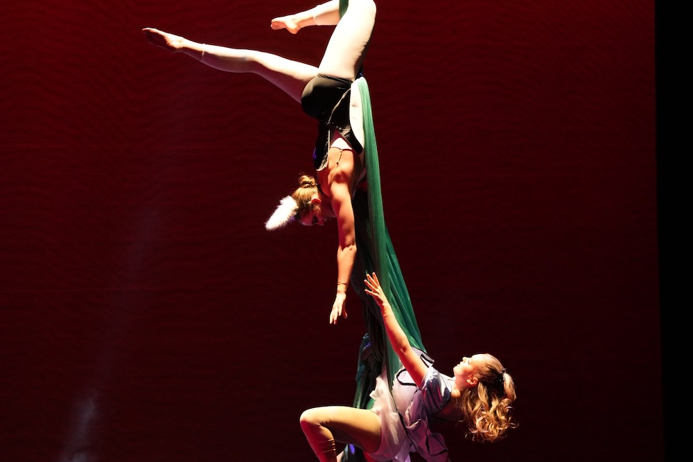 Kids Aerial Classes near Richmond