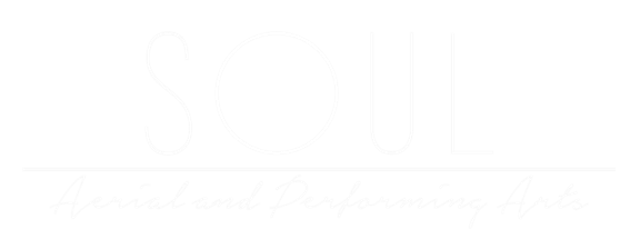 Kids Aerial Classes near Richmond