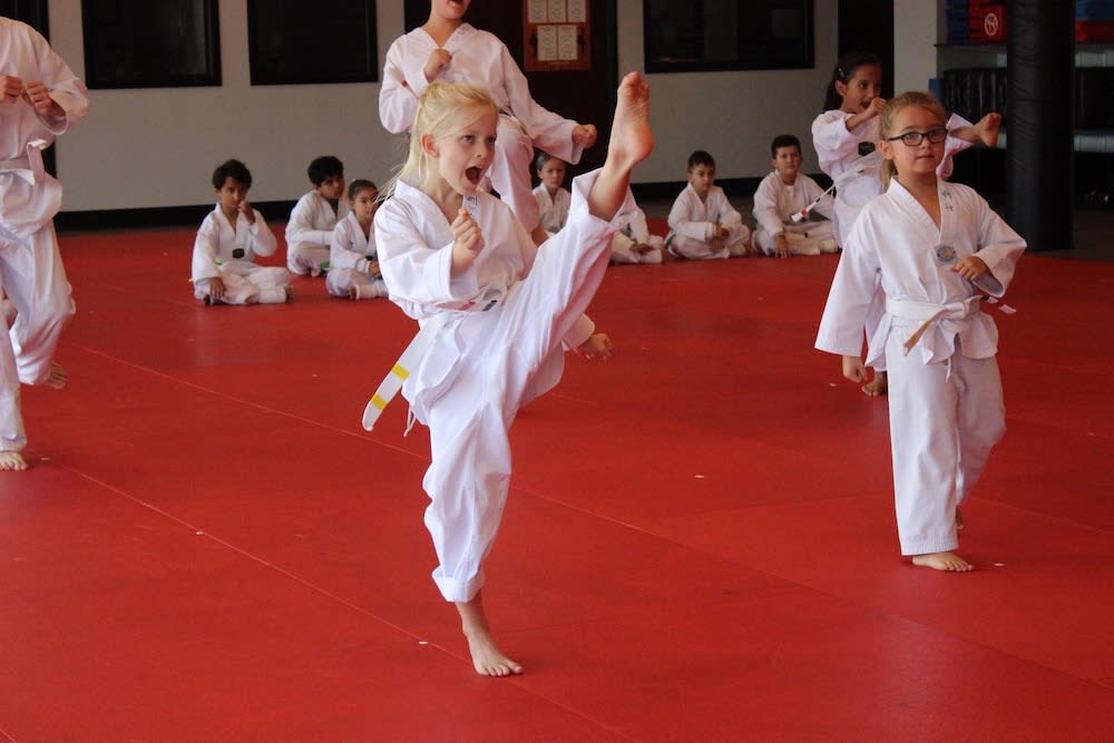 Kids Martial Arts near Overland Park