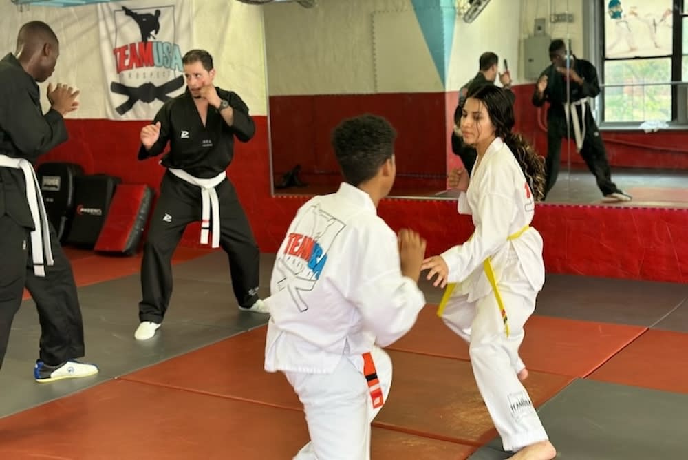 Kids Martial Arts near South Bronx