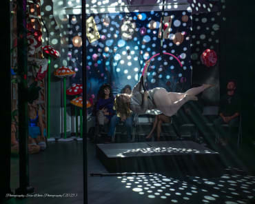 Adult Aerial at Luna Performing Arts Center. Photography: Erin White Photography (2025)