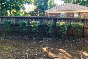 Lawn Care near Greensboro