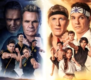 What Martial Arts were used in Cobra Kai?