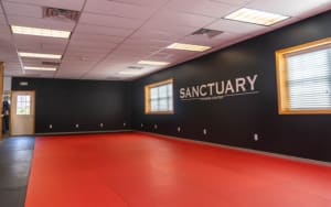 Why Sanctuary for your self defense training?