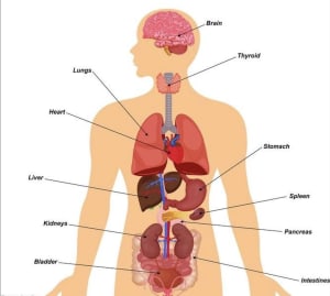 Why choose Blue Zone Wellness?