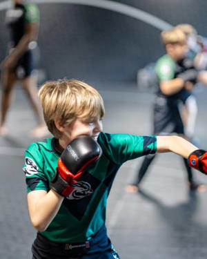 The Difference Between Traditional Martial Arts and Modern MMA Training