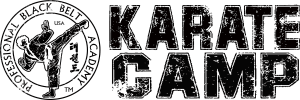 Karate Camp