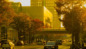 Tokyo Nights That Don’t Suck: 5 Wildly Themed Hotels You Have to See