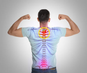 From Mobility to Strength: Building Resilience After Chiropractic Treatment