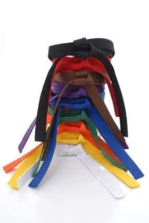 From Red Belt to Black Belt: Understanding Your Child's Karate Progression