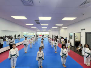 Taekwondo vs. Jiu-Jitsu for Kids at World Class Tigers Taekwondo in San Antonio — What Really Matters
