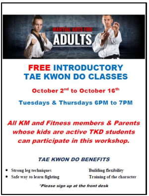 Free Workshop for adults - Taekwondo classes