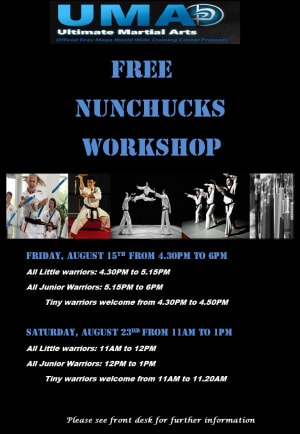 FREE NUNCHUCKS workshops for Krav Maga Chicago 