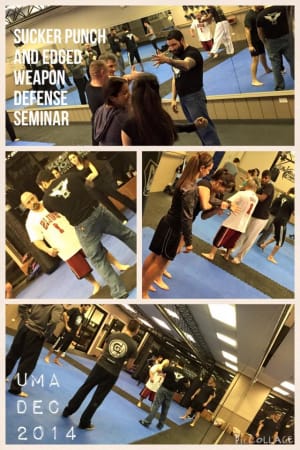 Sucker Punch and Edged weapon defense seminar