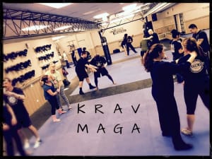 Krav Maga